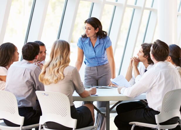 Campos Desempeño Gerencia Estratégica