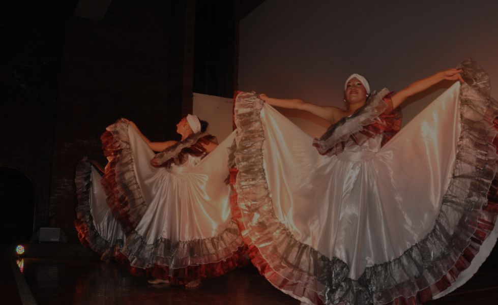 Electivas de Cultura