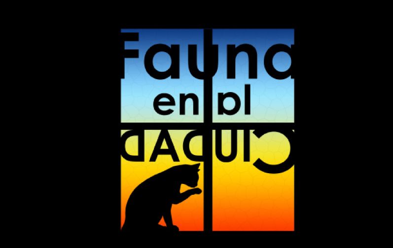 Evento Fauna en la Ciudad