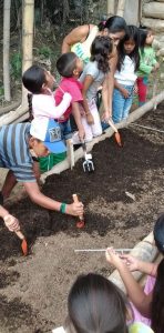 Proyecto ambiental huerta comunitaria comunidad NASA