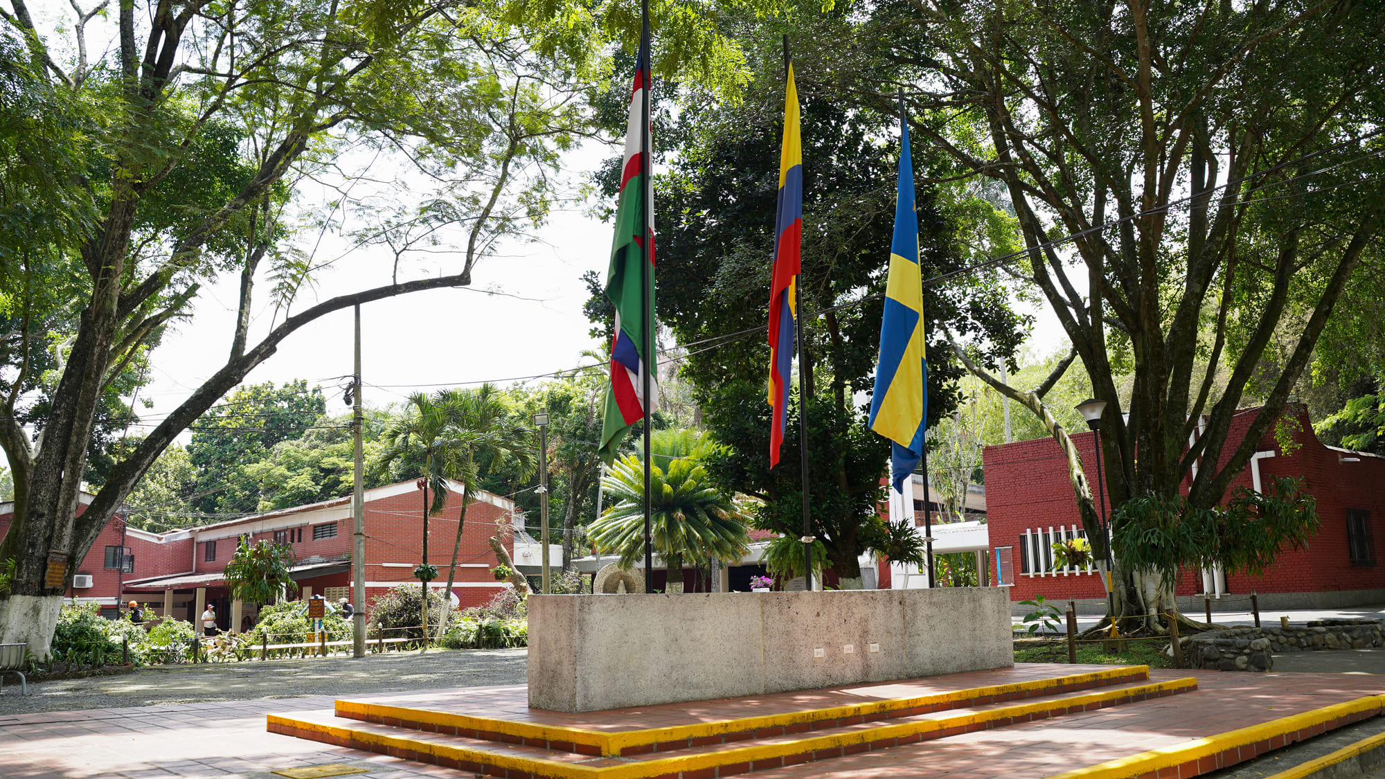 sede-melendez-6